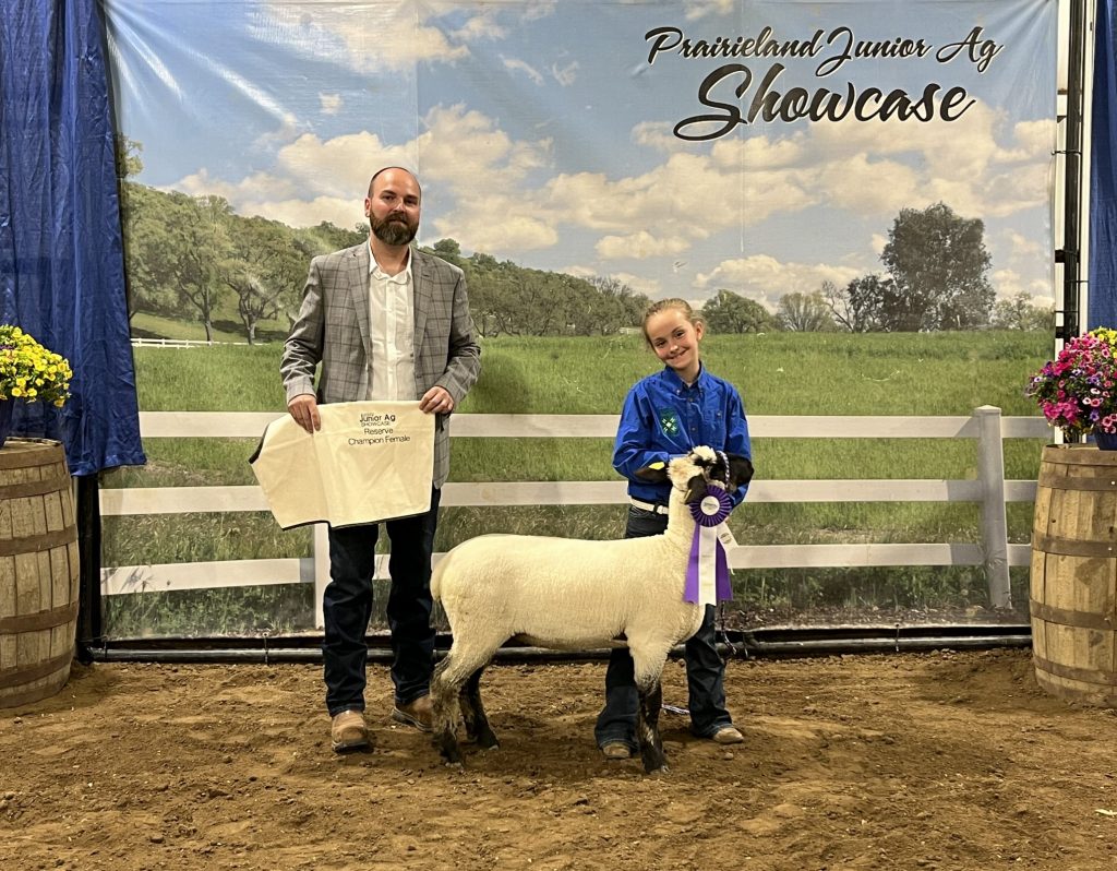 Reserve Grand Champion Sheep