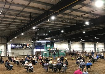 Livestock Auctions