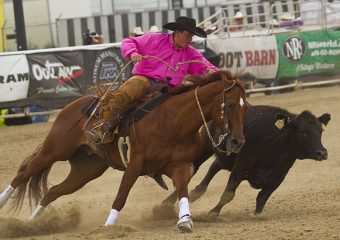 Reined Cow Horse