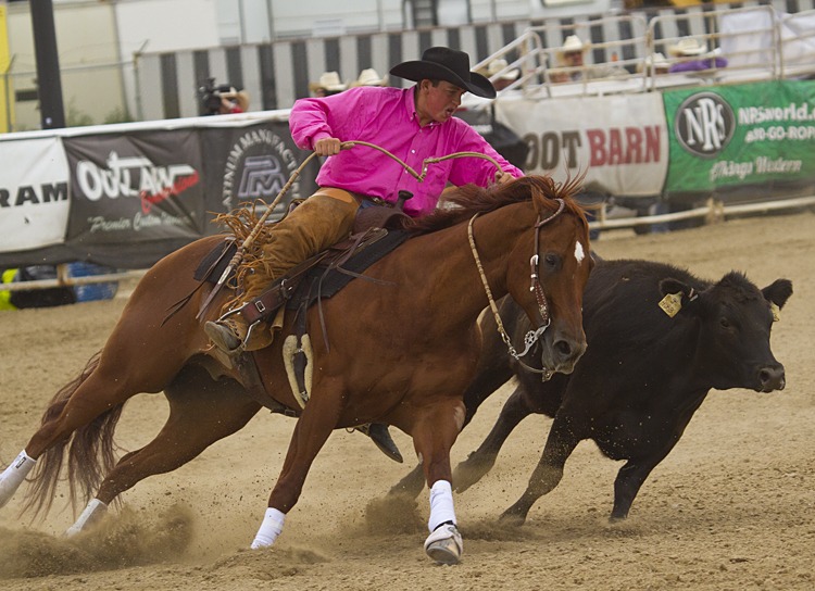 Cown Mid Riders Reined Cow Horse - Prairieland Ag Center