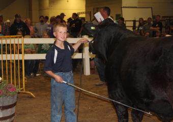 Charity Steer