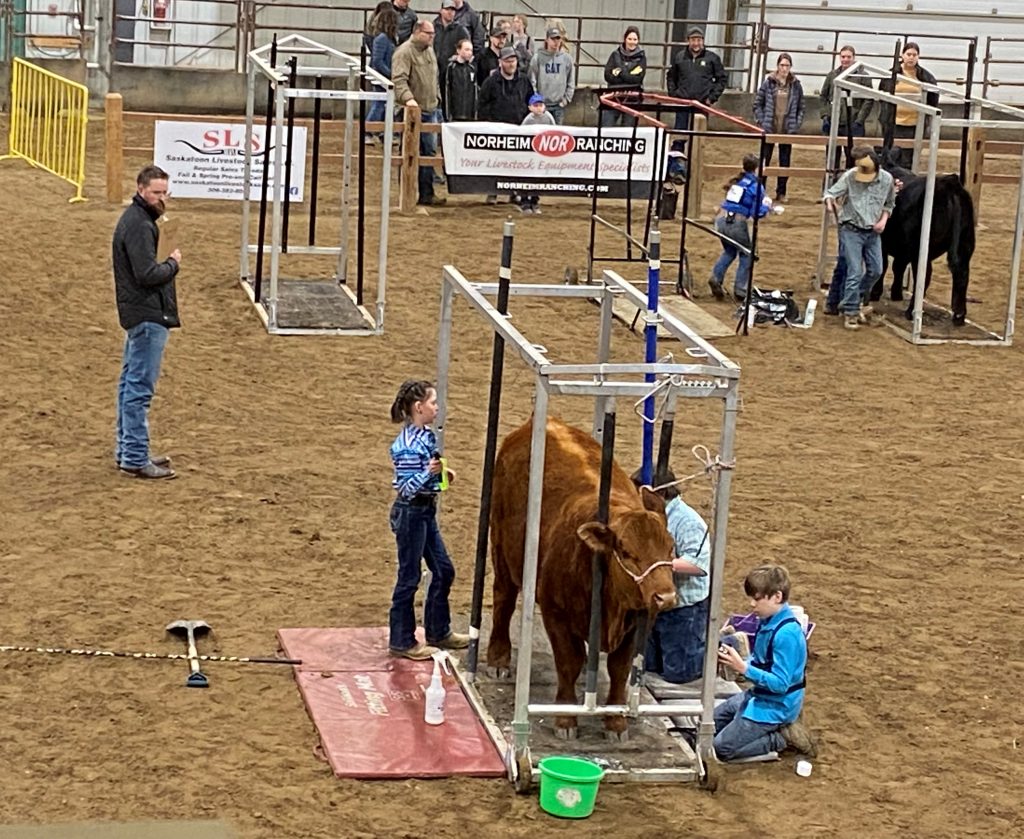 Team Grooming 2022 Competition