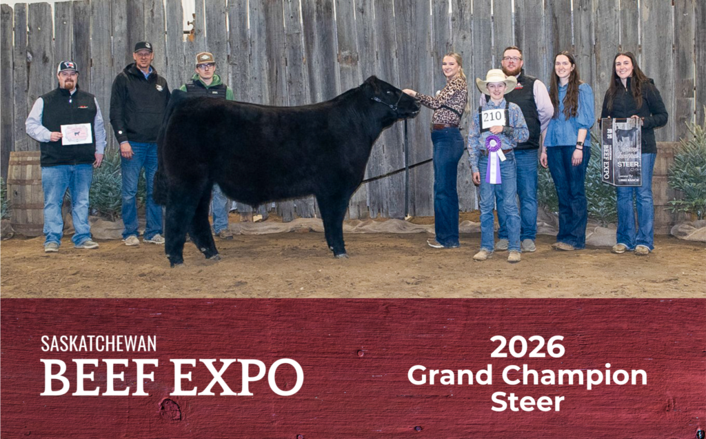 2026 Grand Champion Steer