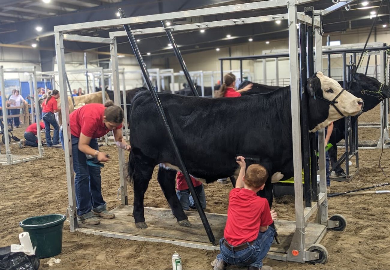 2023 Junior Ag Showcase Photos (5)