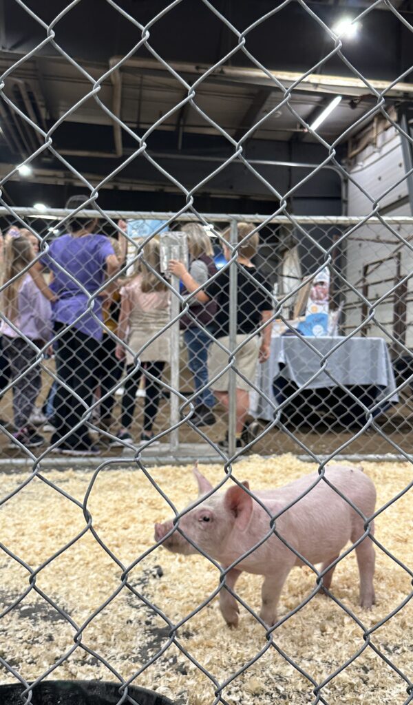 Ag Experience 2024